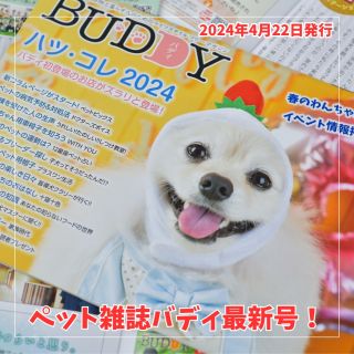 山梨 小瀬 人気 ペット用品 dogfun